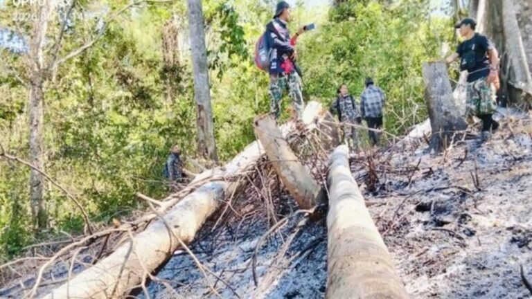 ペッチャブリー県ケンクラチャン世界遺産、大規模山火事と違法伐採で捜査強化