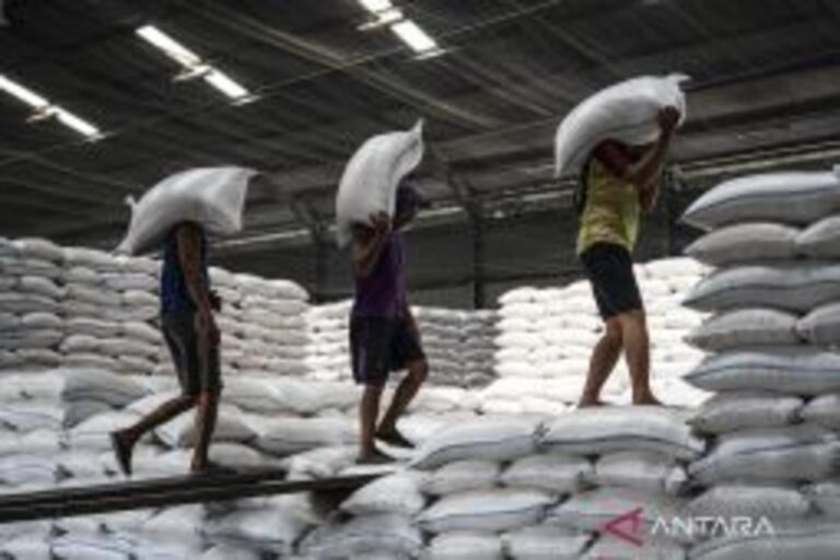 ジャカルタ発：インドネシア、マレーシアへの米輸出機会を模索