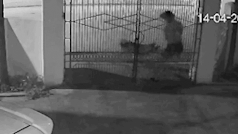 【ベトナム・ビンロク区】運動中の住民3名が犬に襲われ2名入院、狂犬病の懸念も