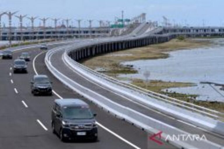 【バリ】高速道路でミツバチ大群が交通麻痺