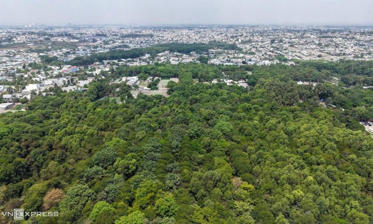 ドンナイ省ビエンホア市：工業都市の「緑の肺」、210ヘクタールの保護林