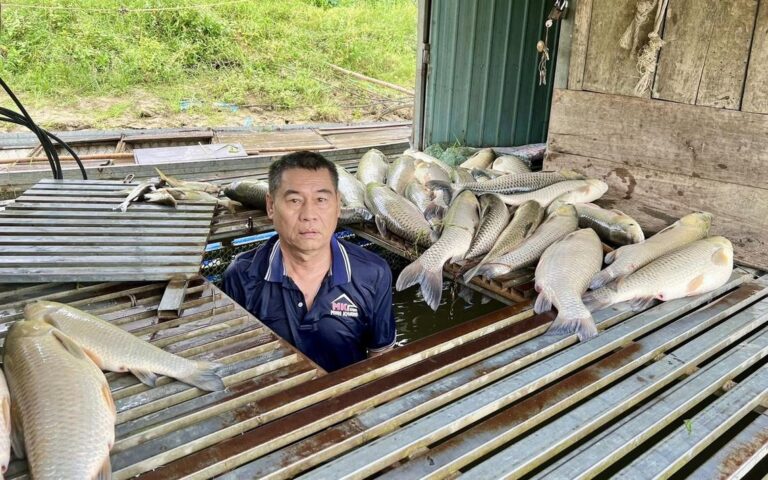【ベトナム・ハティン省】ラム川で養殖魚が大量死、省に原因究明を要請