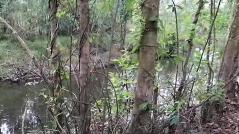 【タイ・ウドーンターニー】寺院裏の水路で僧侶の遺体発見、村人が「ココナッツかと思ったら…」