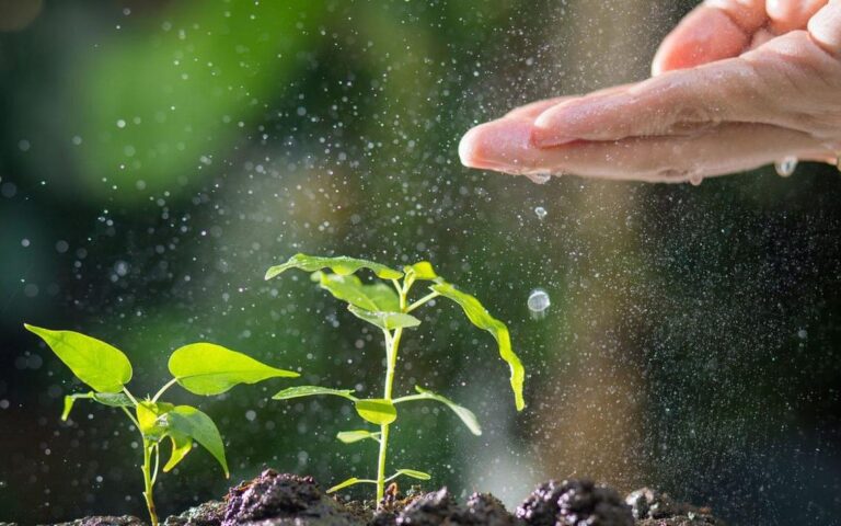 地球規模の植物絶滅、東南アジアへの警鐘