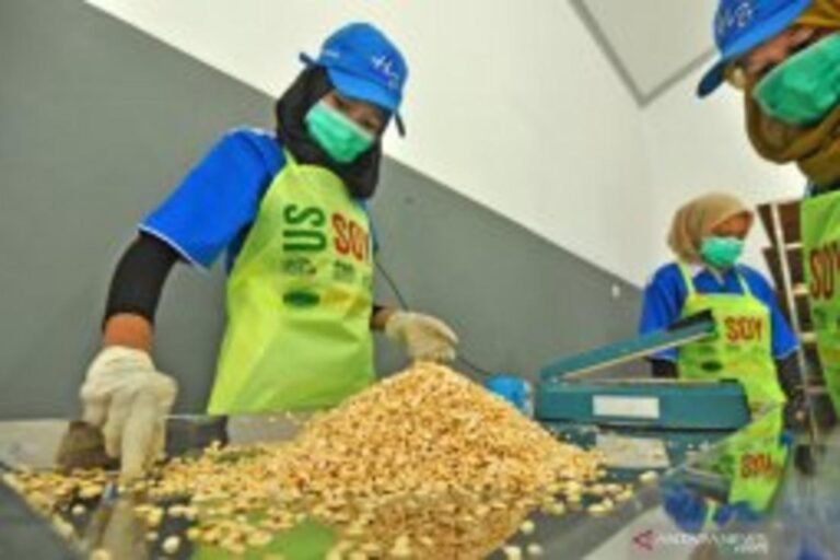 ジャカルタ、輸入食品価格高騰に政府が補助金支給へ