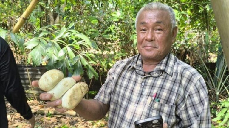 【タイ・ナコンナーヨック】竹藪に卵抱くニシキヘビ、作業員が発見し救助隊が捕獲
