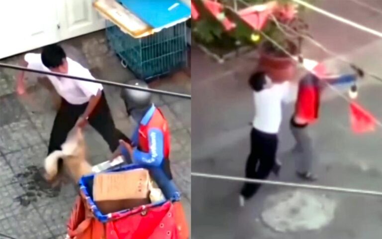 【ベトナム・ハノイ】犬のトリミング拒否で配達員が暴行、動物虐待の疑いも