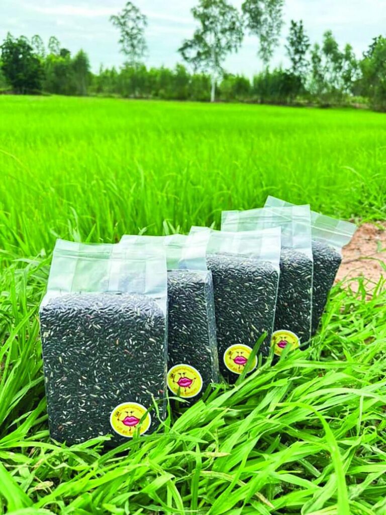 スリン県で米農家がオンライン販売を成功、SNSで「映える」戦略