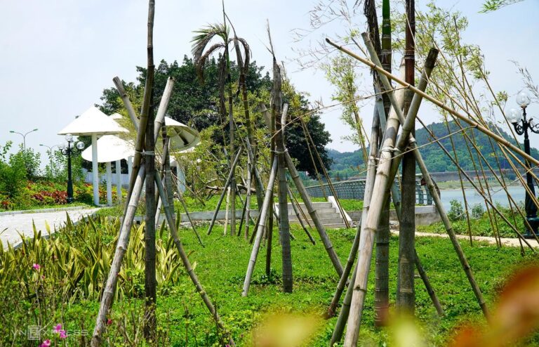 タインホア省の記念公園で植樹が大量枯死、維持管理に懸念