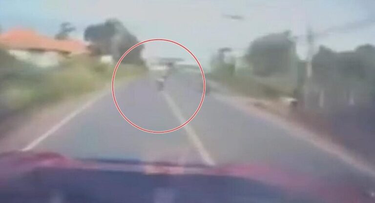 【スラートターニー県】父子3名が死亡、オートバイがカーブで衝突