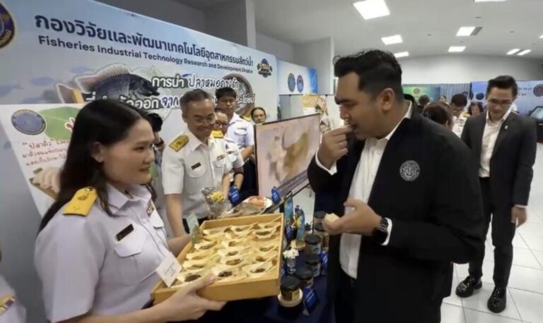 タイ漁業の未来を拓く！バンコク発、新政策で持続可能な水産業へ