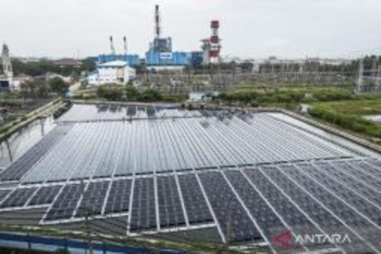 インドネシア、エネルギー転換で経済協力強化