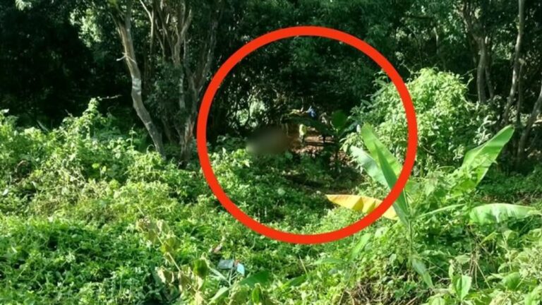 【タイ・ランプーン県】ピックアップトラックが30m崖から転落、父親死亡、息子重傷