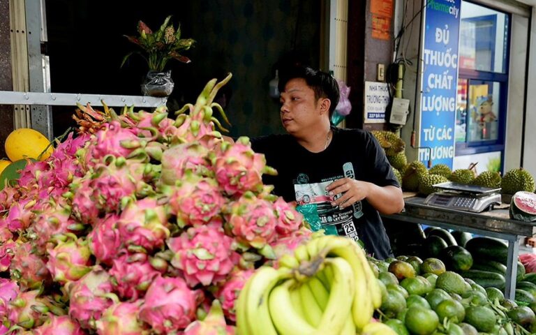 ベトナム南部、フルーツ安値で農家が苦境
