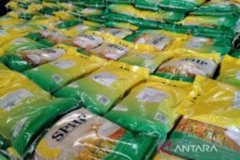 ジャカルタ発：エルニーニョ下でも米生産安定の見通し
