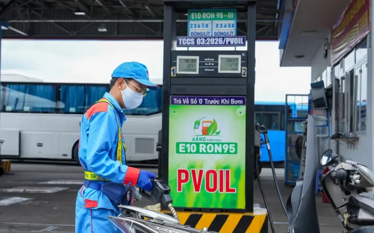 ベトナムのバイオ燃料、影響評価完了：持続可能な経済への道