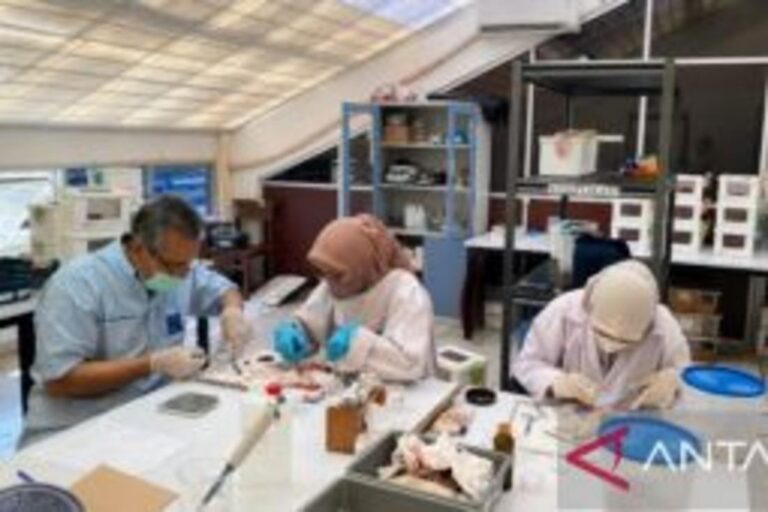 インドネシアの研究者が植物由来の糖尿病治療法を研究【ジャカルタ】